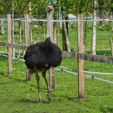 Gaestewohnung Hardinghaus Am Teich Warendorf Zewnętrze zdjęcie