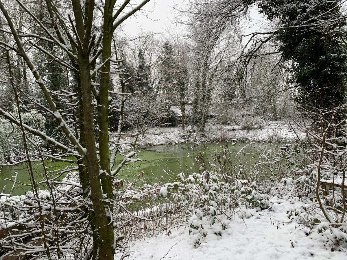 Gaestewohnung Hardinghaus Am Teich Apartment Warendorf