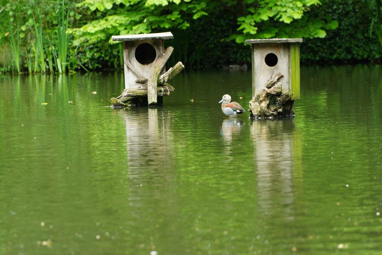 Apartment Gaestewohnung Hardinghaus Am Teich *