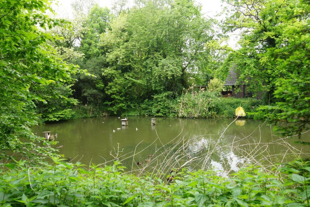 Gaestewohnung Hardinghaus Am Teich Apartment